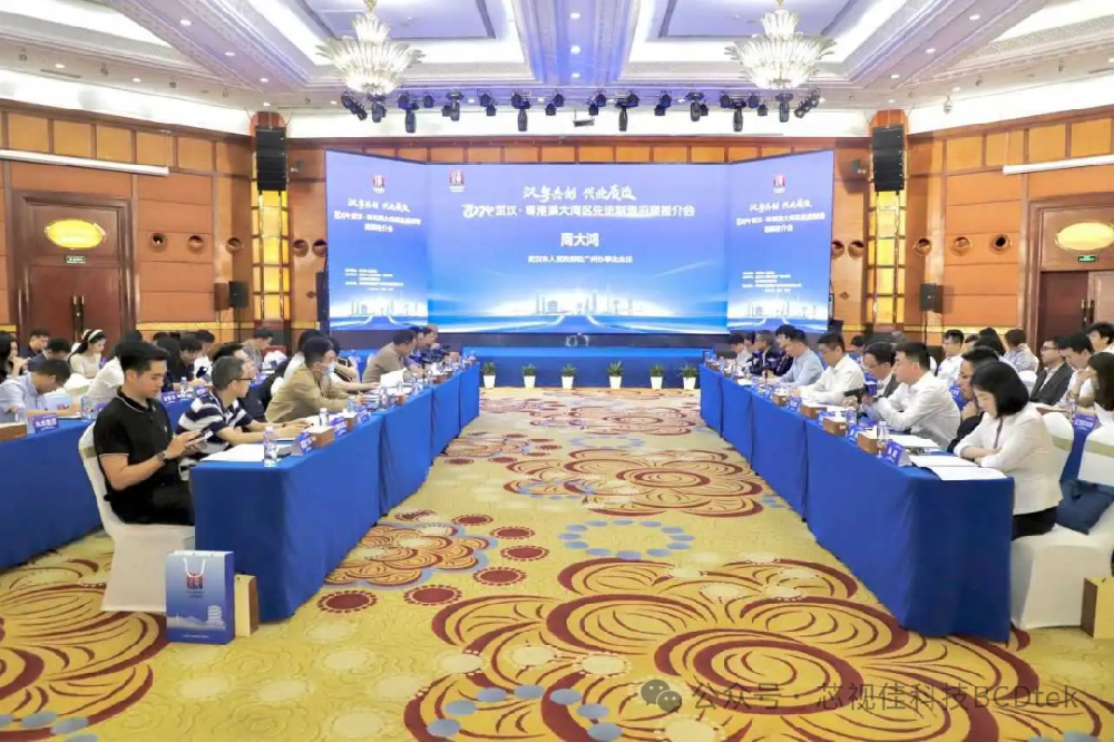 企業(yè)動態(tài)|芯視佳應(yīng)邀參加2024武漢?粵港澳大灣區(qū)產(chǎn)業(yè)活動